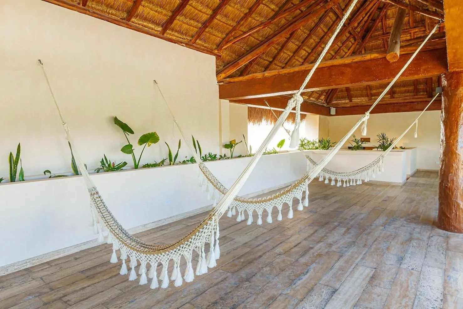 Tulum Paramar Viva 0*,